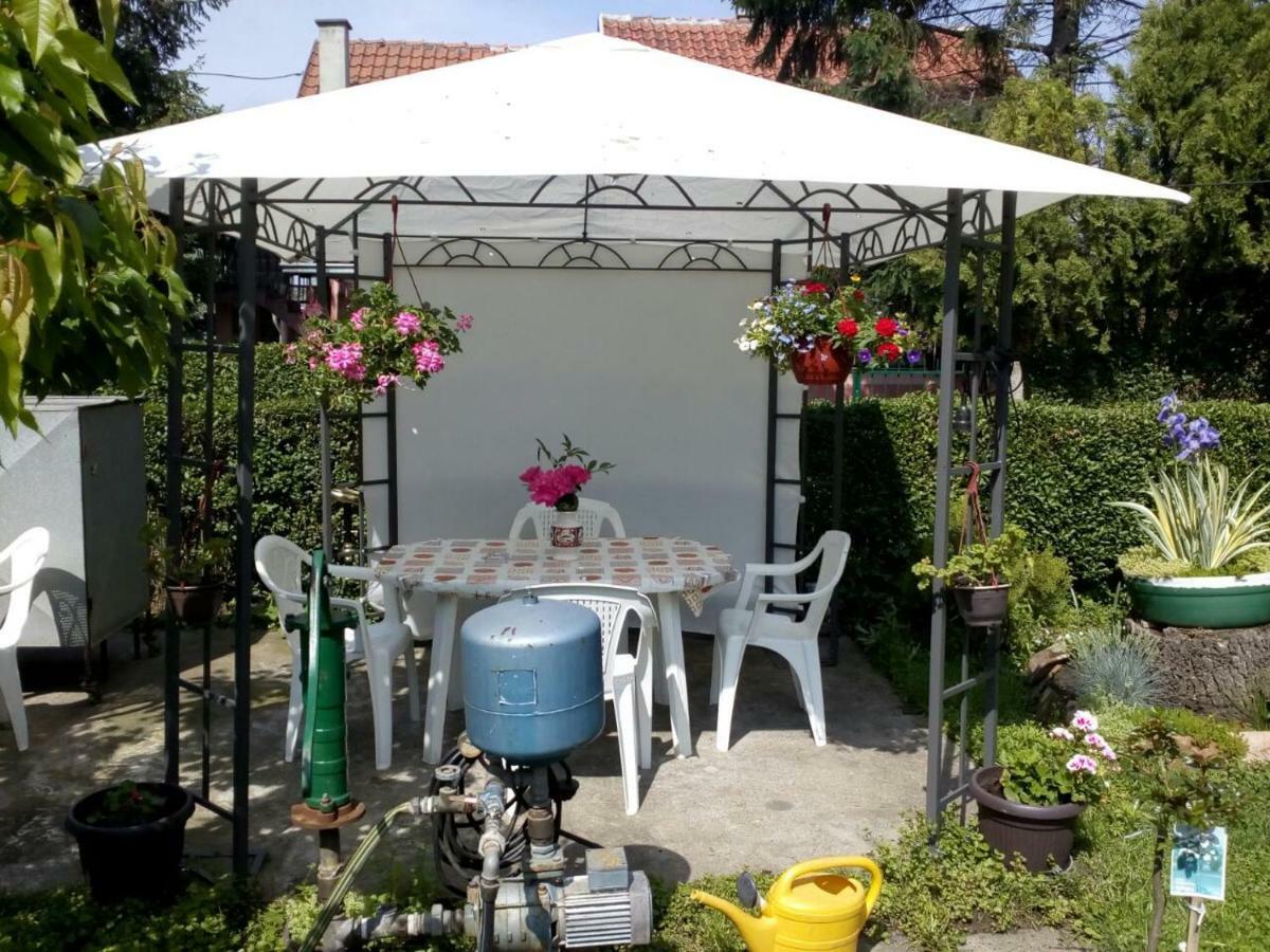 Apartment Ljupka Pančevo Eksteriør billede
