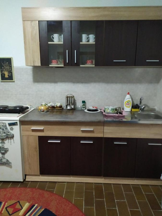 Apartment Ljupka Pančevo Eksteriør billede